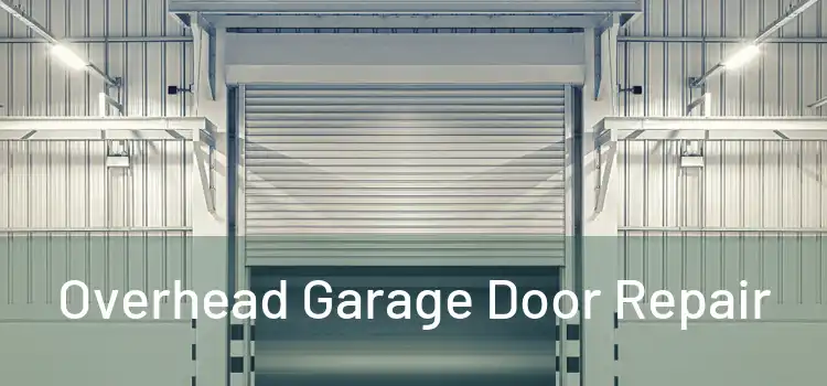 Overhead Garage Door Repair 